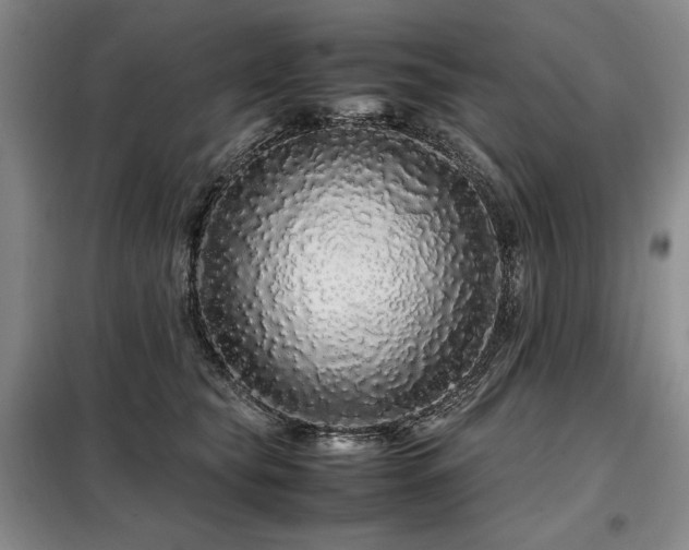 X0000099310565200805021316
