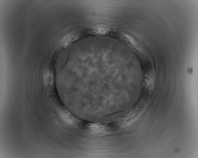 X0000099310568200805021316