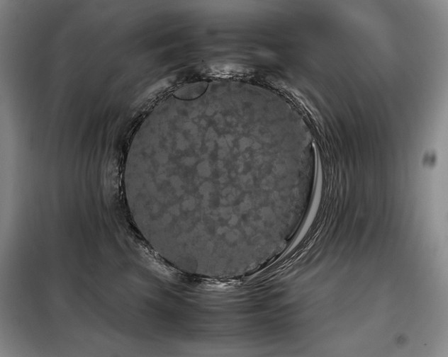 X0000099310569200805021316