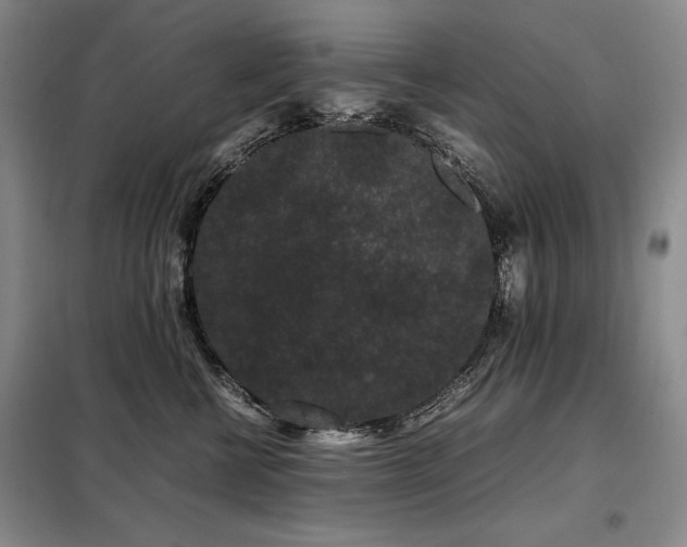 X0000099310570200805021317