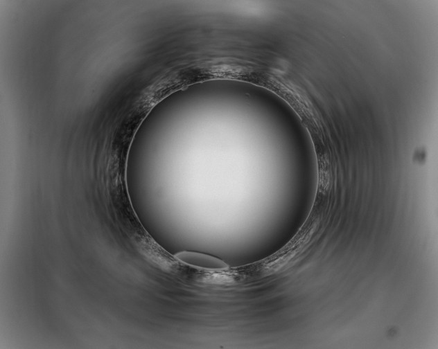 X0000099310573200805021317