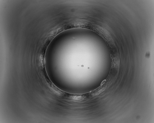 X0000099310575200805021317