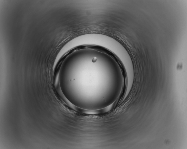 X0000099310576200805021317