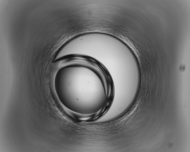 X0000099310577200805021316