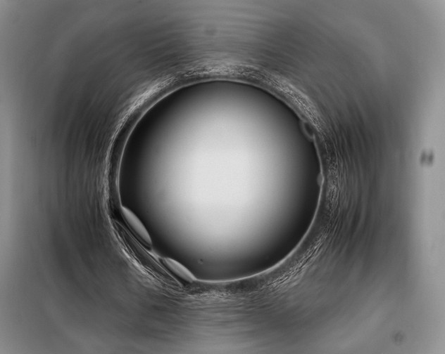 X0000099310578200805021316