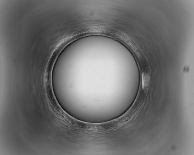 X0000099310579200805021316