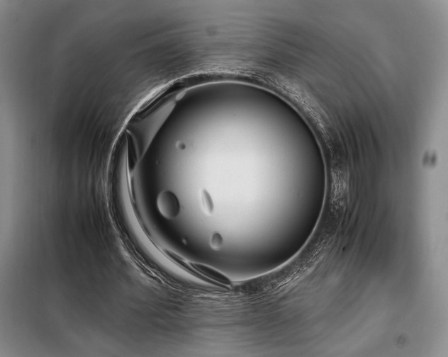 X0000099310580200805021316