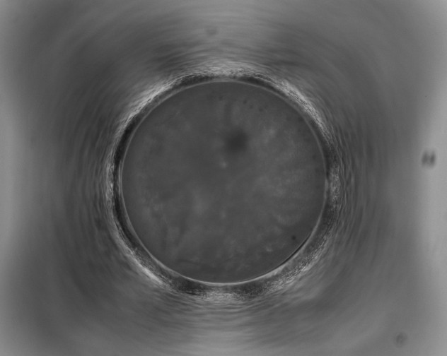 X0000099310581200805021316