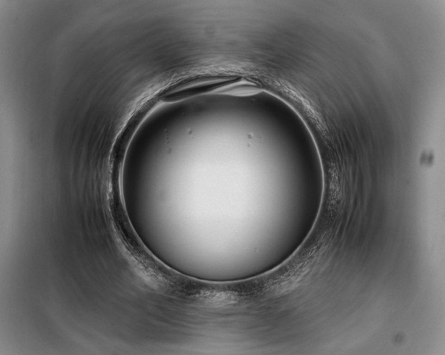 X0000099310582200805021316