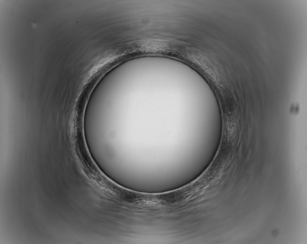 X0000099310583200805021316