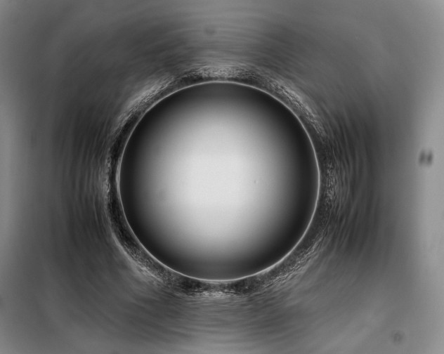 X0000099310586200805021316