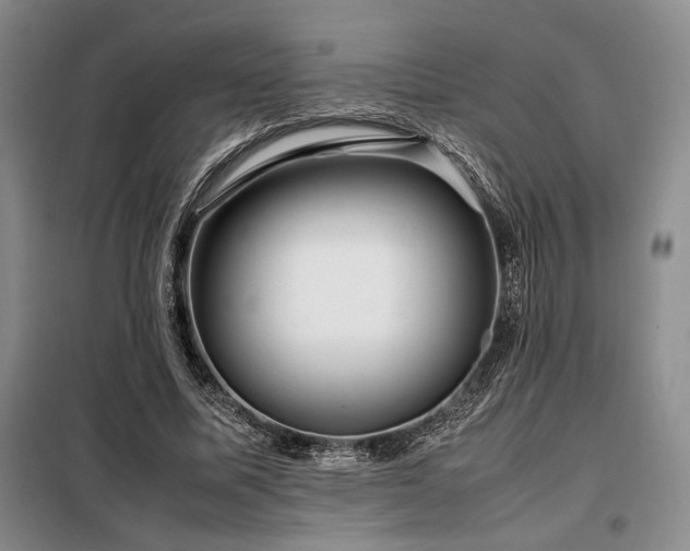 X0000099310587200805021316