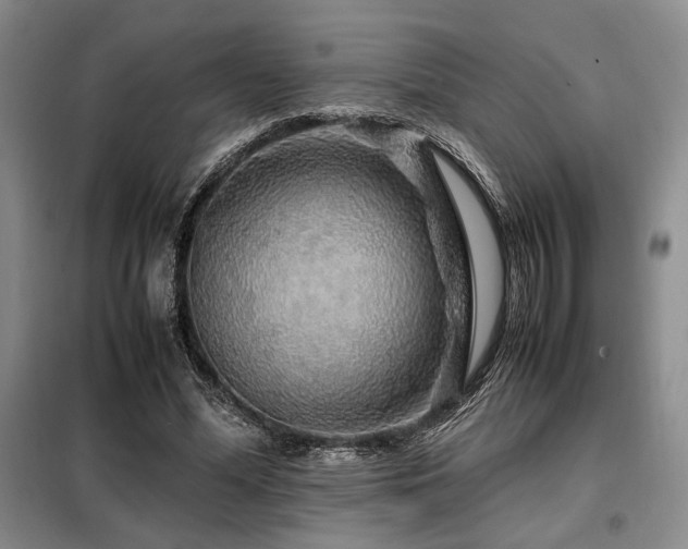 X0000099310588200805021316