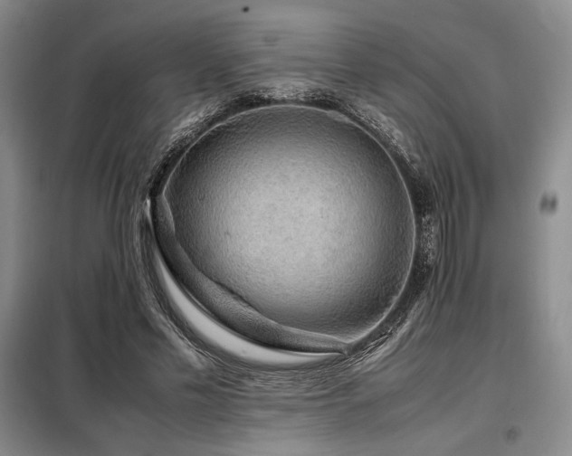 X0000099310589200805021316