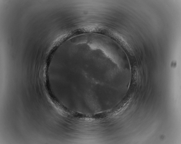 X0000099310590200805021316