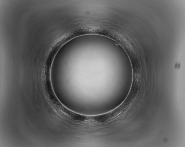 X0000099310591200805021316
