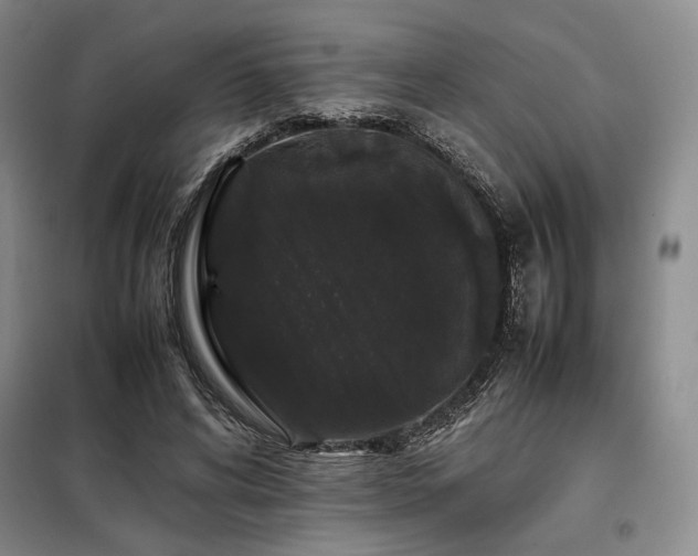 X0000099310592200805021316