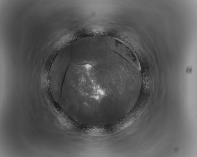 X0000099310593200805021316