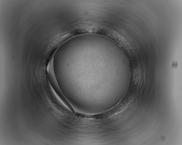 X0000099310594200805021316