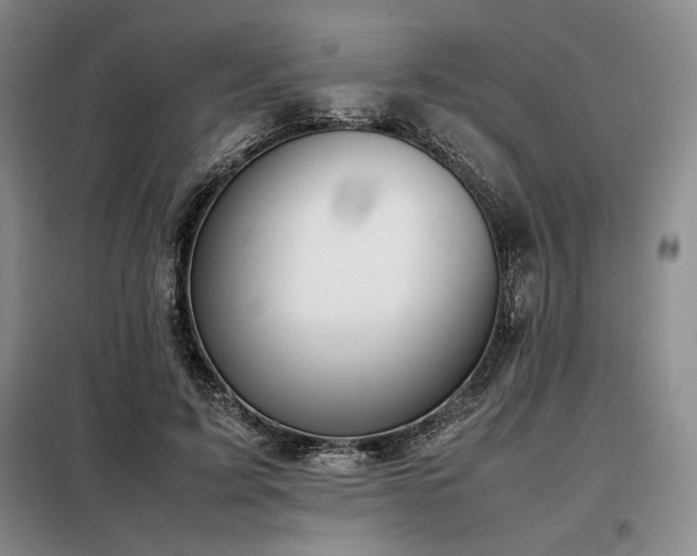 X0000099310595200805021316
