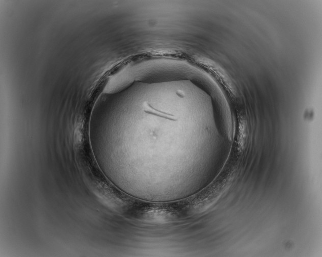X0000099310596200805021316