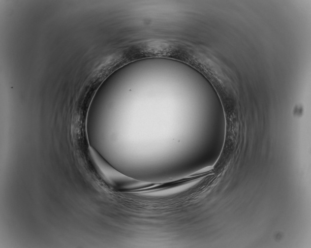 X0000099310597200805021316