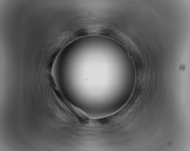 X0000099310601200805021316