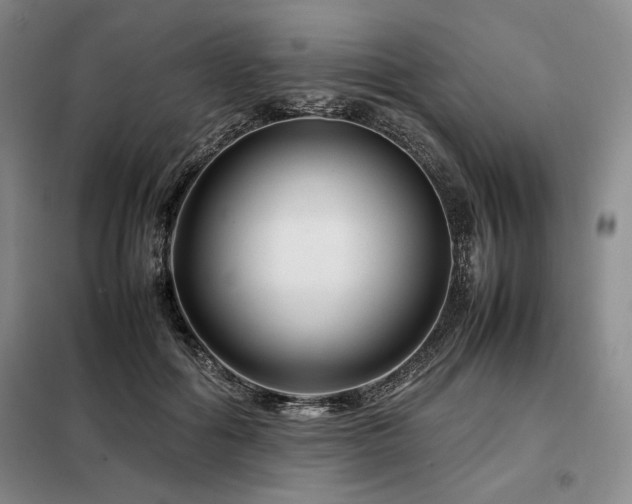 X0000099310602200805021316