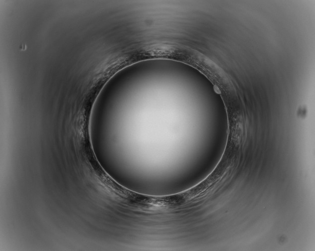 X0000099310604200805021316