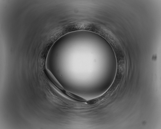 X0000099310605200805021316