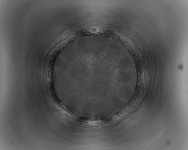 X0000099310606200805021316