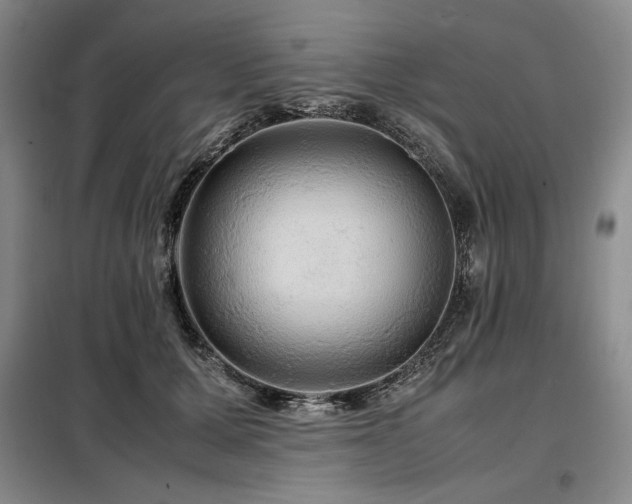 X0000099310607200805021316