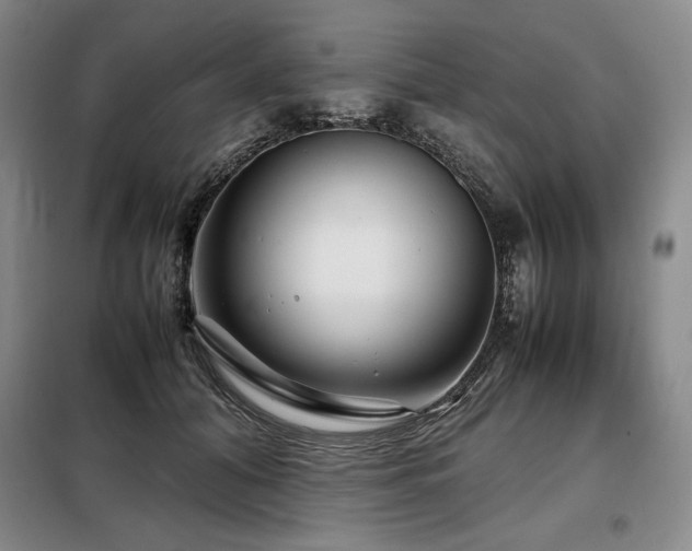 X0000099310608200805021315