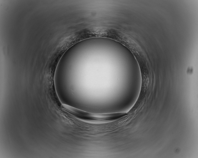 X0000099310609200805021315