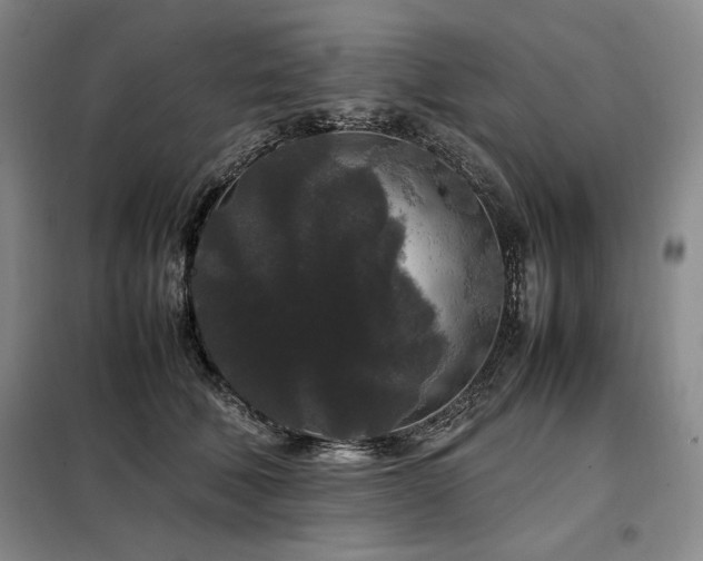 X0000099310610200805021315