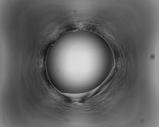 X0000099310611200805021315
