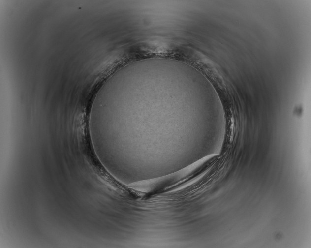 X0000099310612200805021315