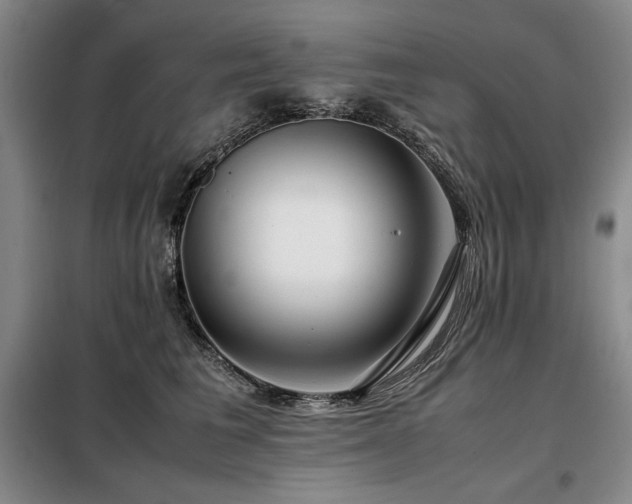 X0000099310613200805021315