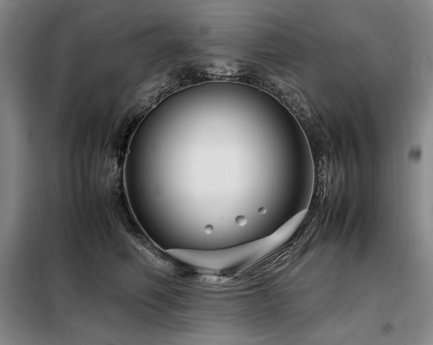 X0000099310614200805021315