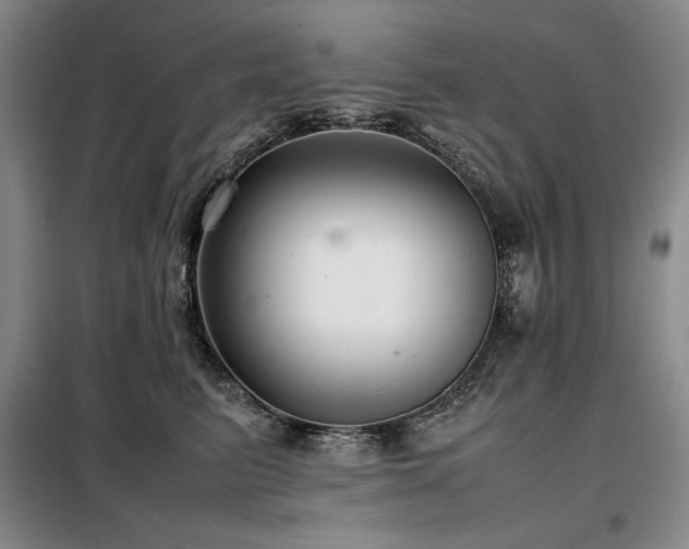 X0000099310615200805021315
