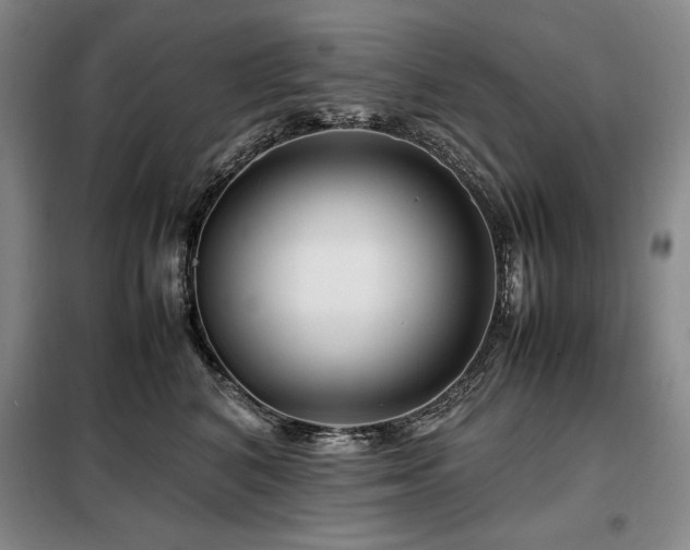 X0000099310616200805021315