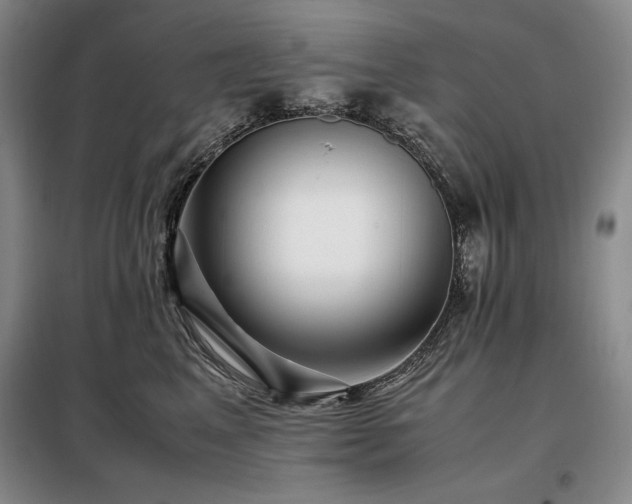 X0000099310617200805021315