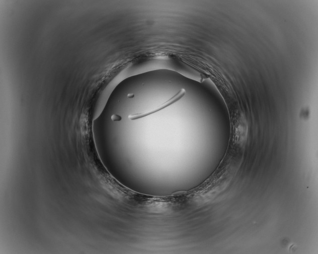 X0000099310620200805021315