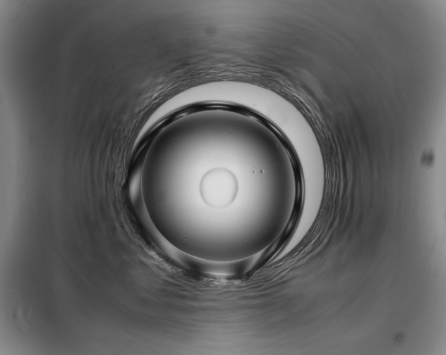 X0000099310621200805021315