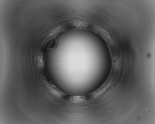 X0000099310622200805021315