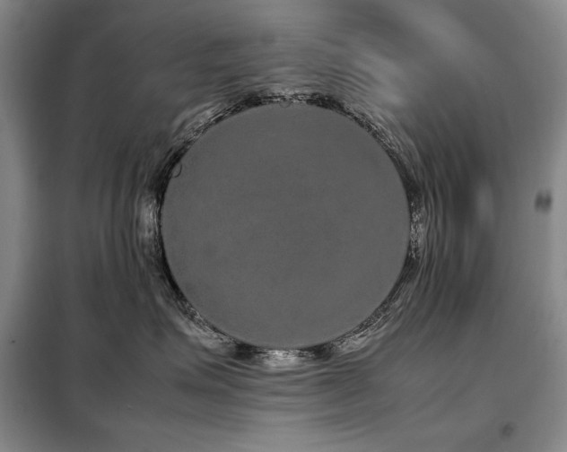 X0000099310623200805021315