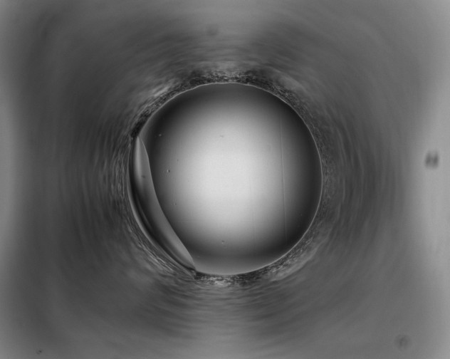 X0000099310624200805021315