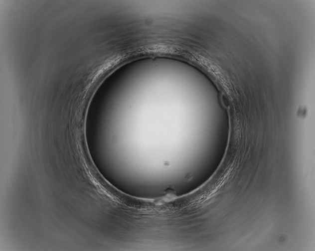 X0000099310625200805021315
