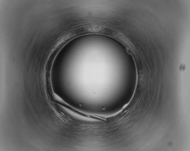 X0000099310626200805021315