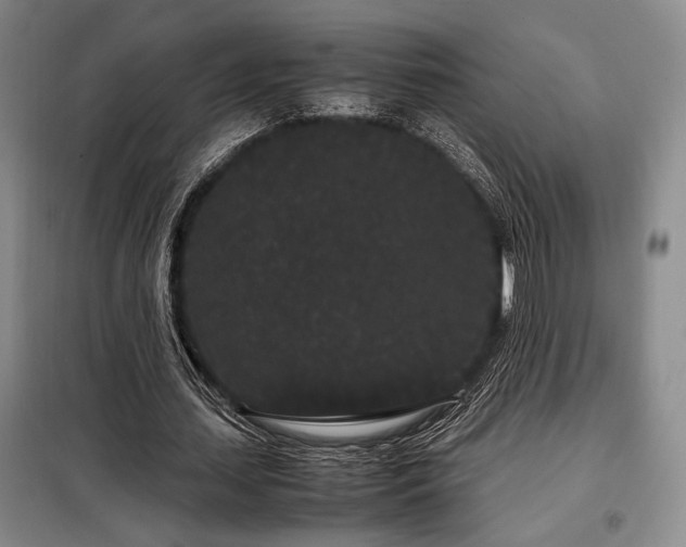 X0000099310627200805021315